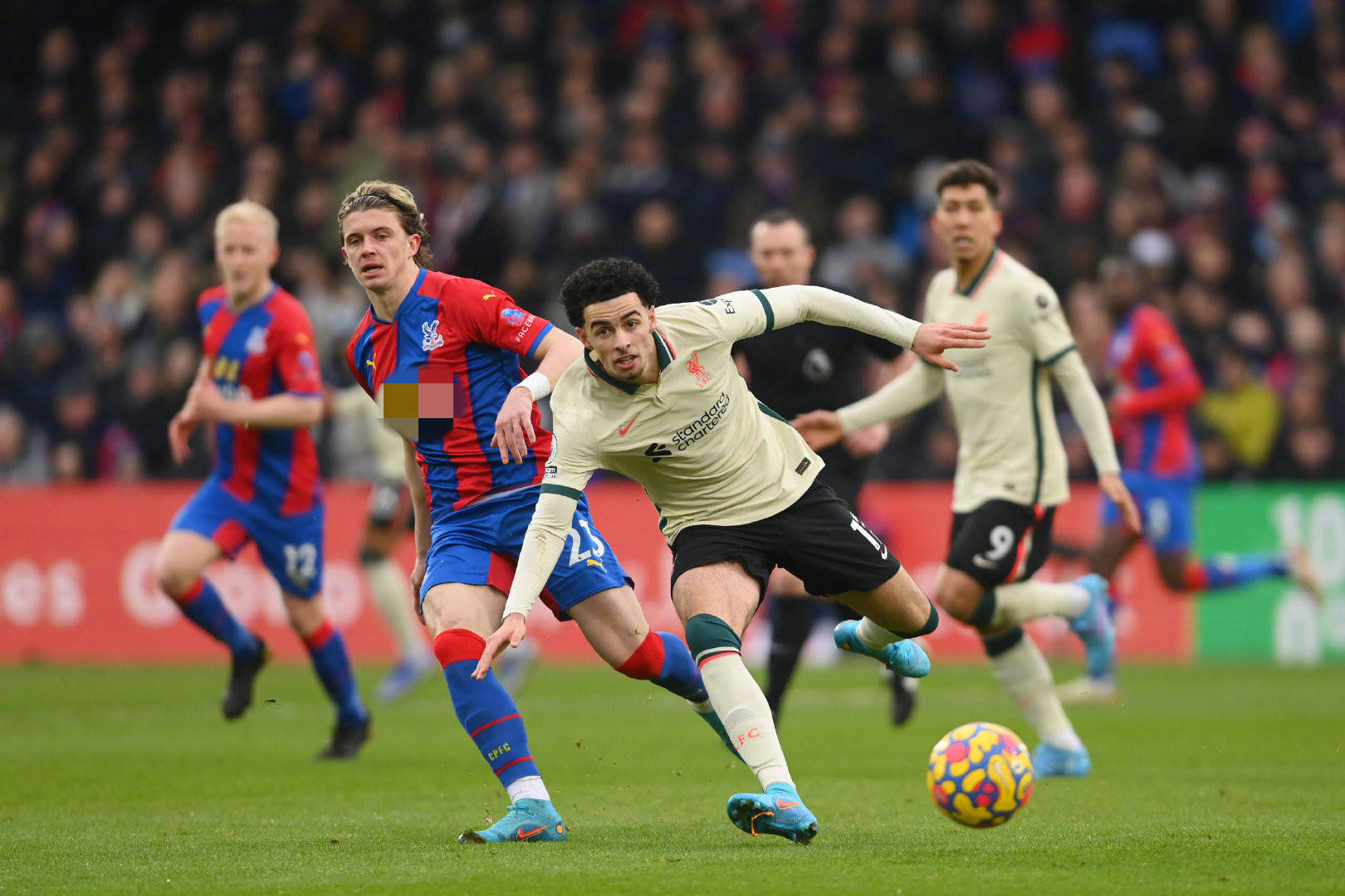 的阿根廷队 的阿根廷队